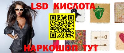 mdma Гатчина