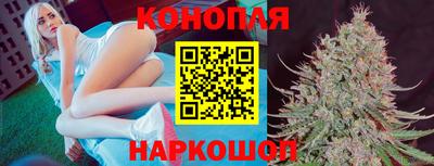 прущие грибы Гай