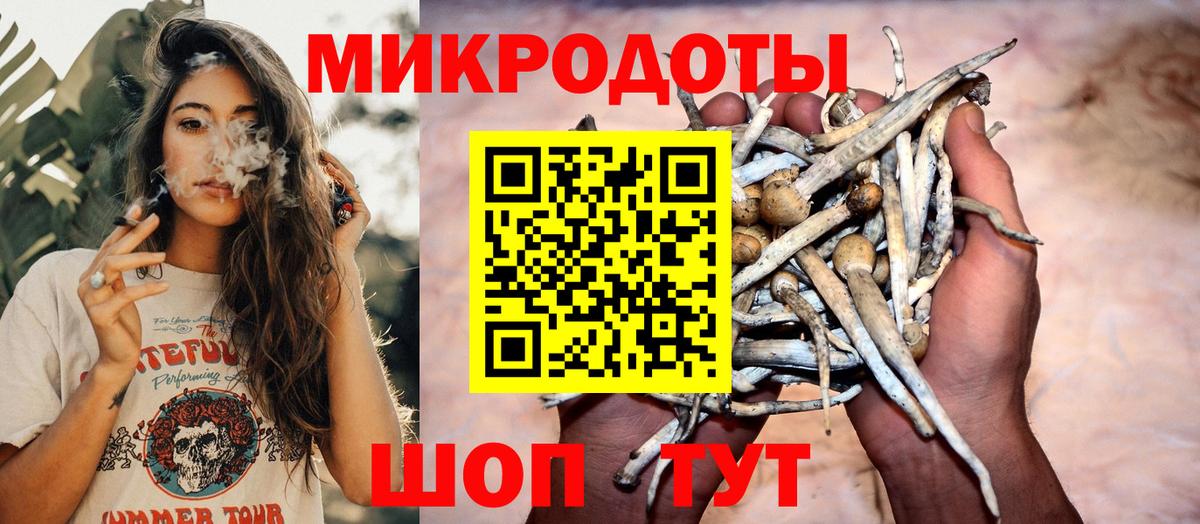 Новоуральск  Псилоцибиновые грибы Psilocybine cubensis  Вход с VPN 